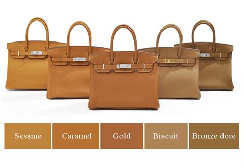 hermes biscuit vs gold|hermes colors for sale.